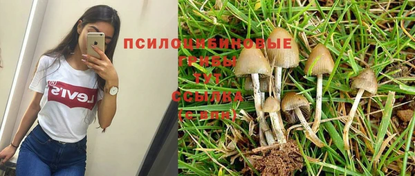 apvp Баксан